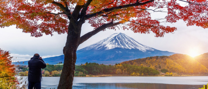Witness Natural Beauty Around Mount Fuji
