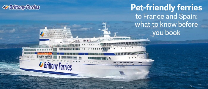 Pet-friendly ferries to France and Spain what to know before you book